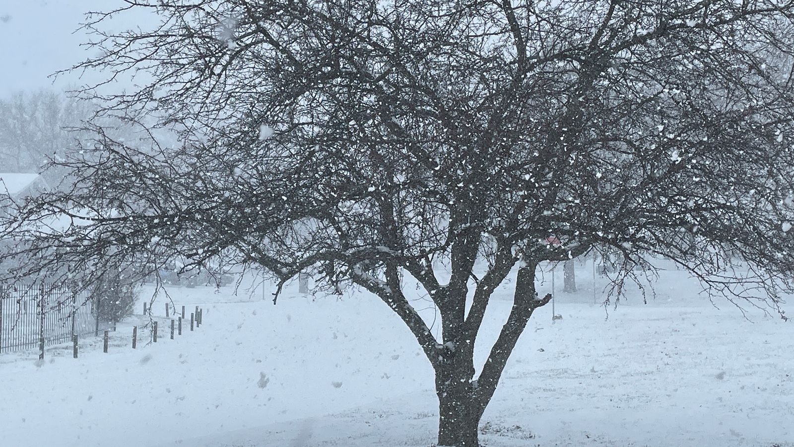 Photo of heavy snow falling in St. Peters, MO.